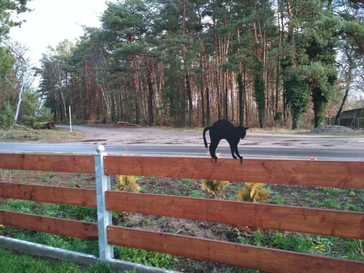 Koci Grzbiet Agroturystyka Dzierzazno Wielkie Εξωτερικό φωτογραφία