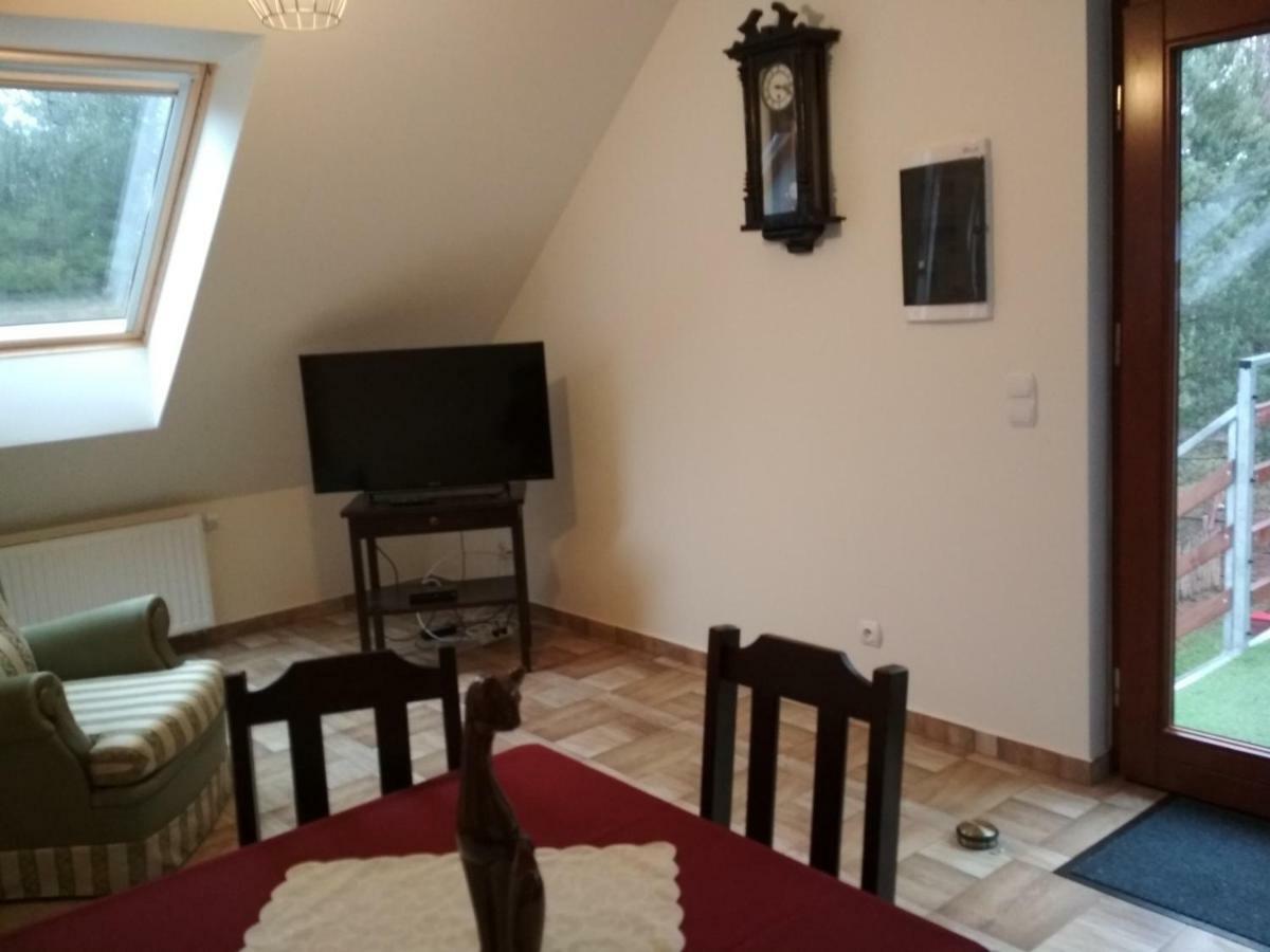 Koci Grzbiet Agroturystyka Dzierzazno Wielkie Εξωτερικό φωτογραφία